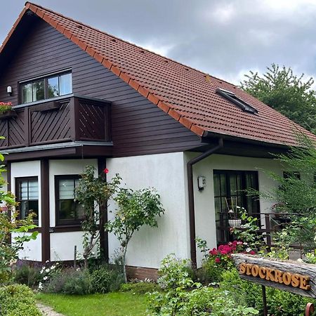 Ferienwohnung Stockrose Lohme Dış mekan fotoğraf