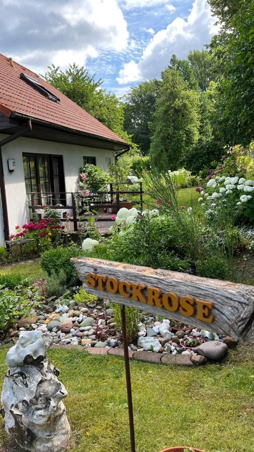 Ferienwohnung Stockrose Lohme Dış mekan fotoğraf